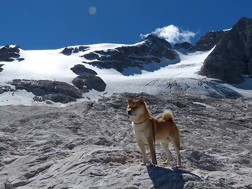 英超争冠之夜,那个在尘埃中站起的名字叫武切维奇