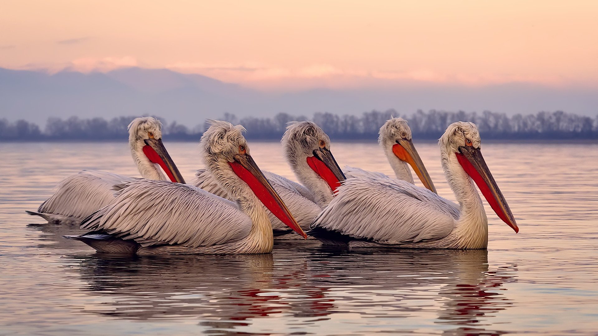 冰与火的缠斗，心与技的淬炼—马克西在世界排名之夜冲破心魔