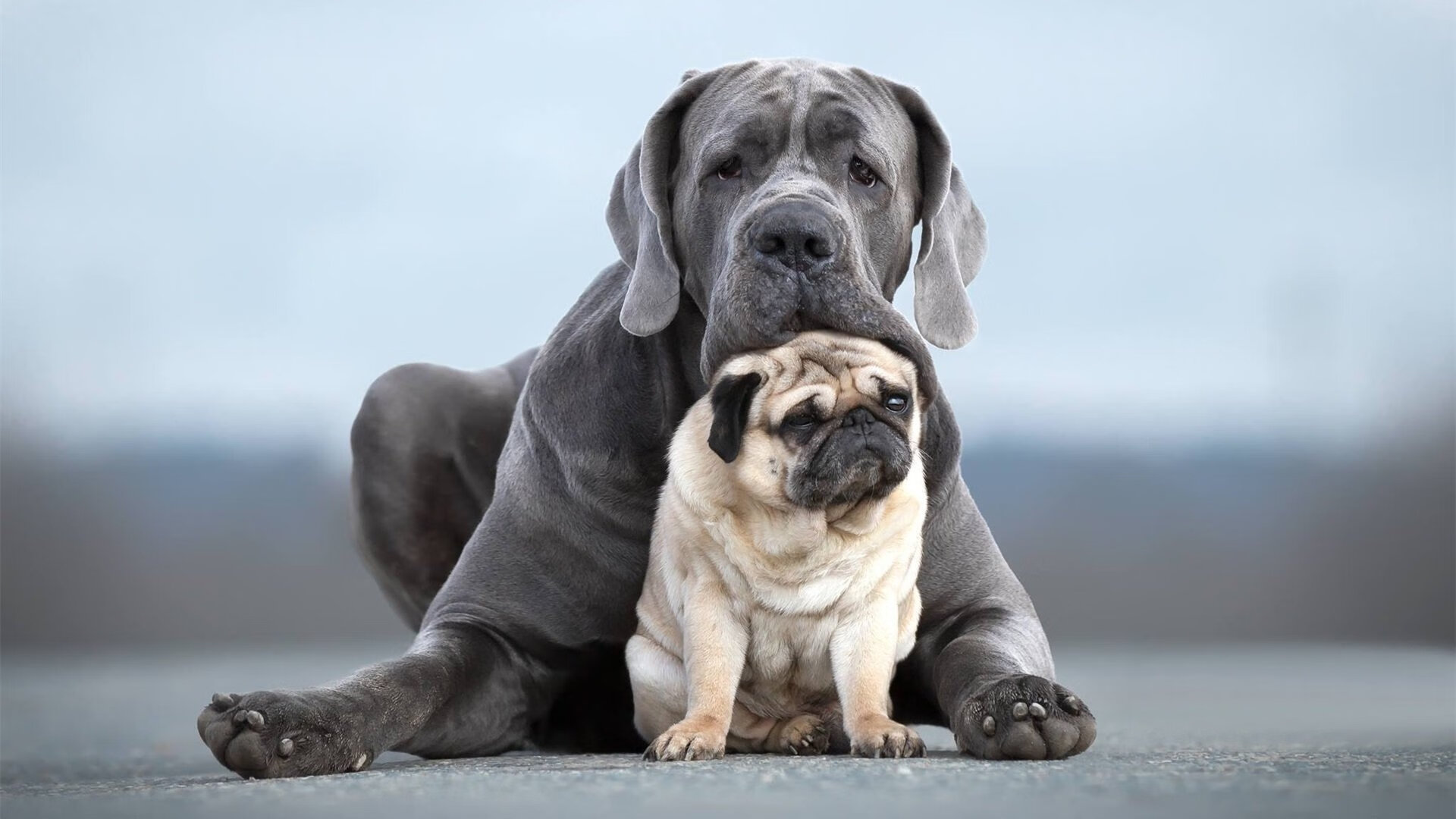 以亚洲之名，三笘薰在欧冠决赛之夜撕裂钢铁防线