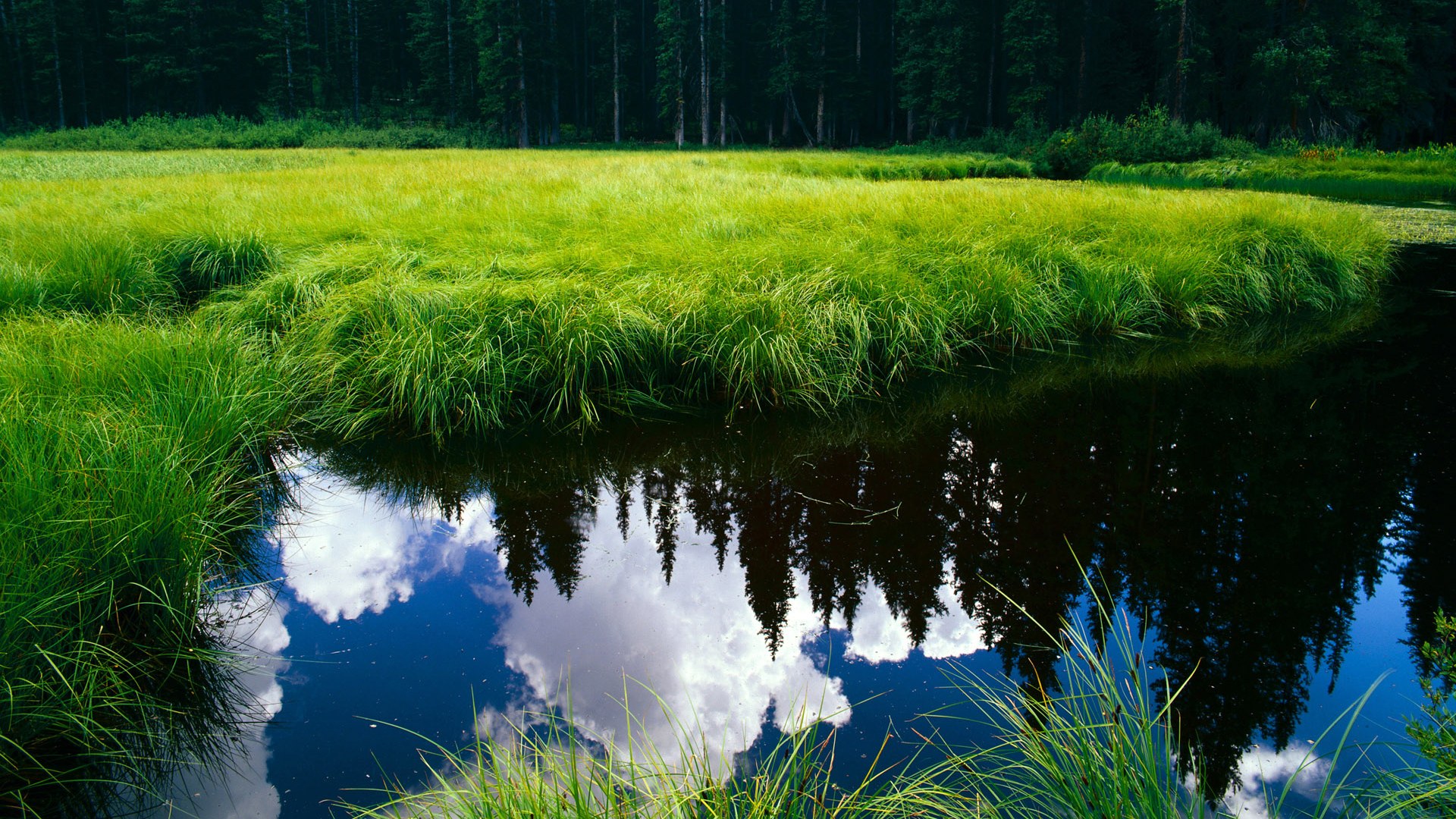 终场哨响前四分钟，京多安用旧伤膝盖扛起一个国家的黄昏