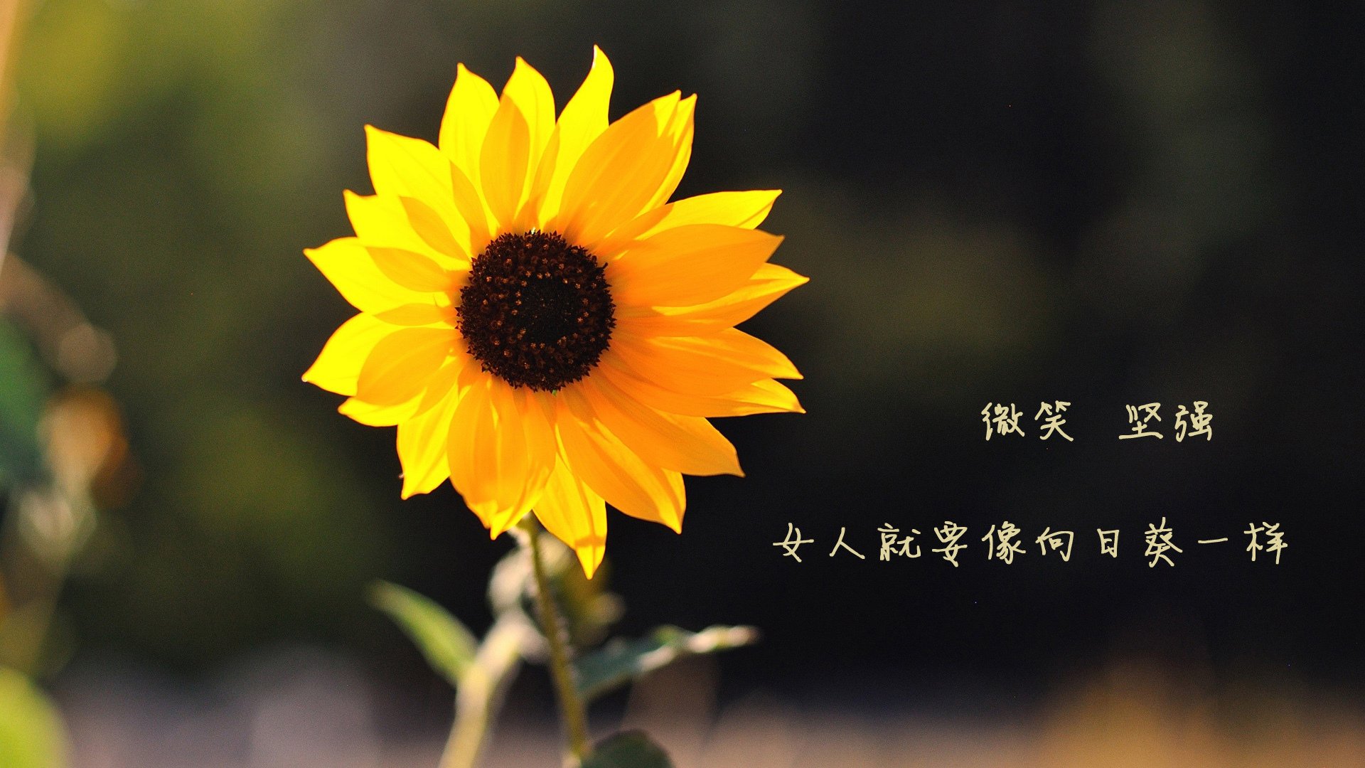 开云体育中国-教科书级的孤勇与绝杀，卡拉斯科闪耀全场，毕尔巴鄂末节击穿智利防线