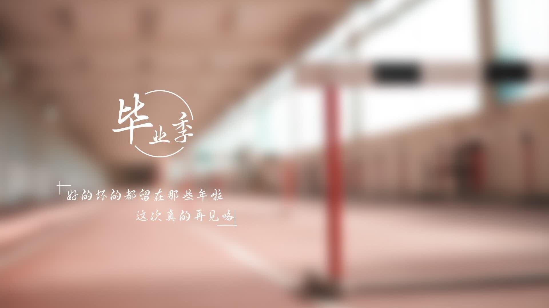 世界杯头名之争,唯一性的终极试炼—当范戴克筑起不可逾越的城墙
